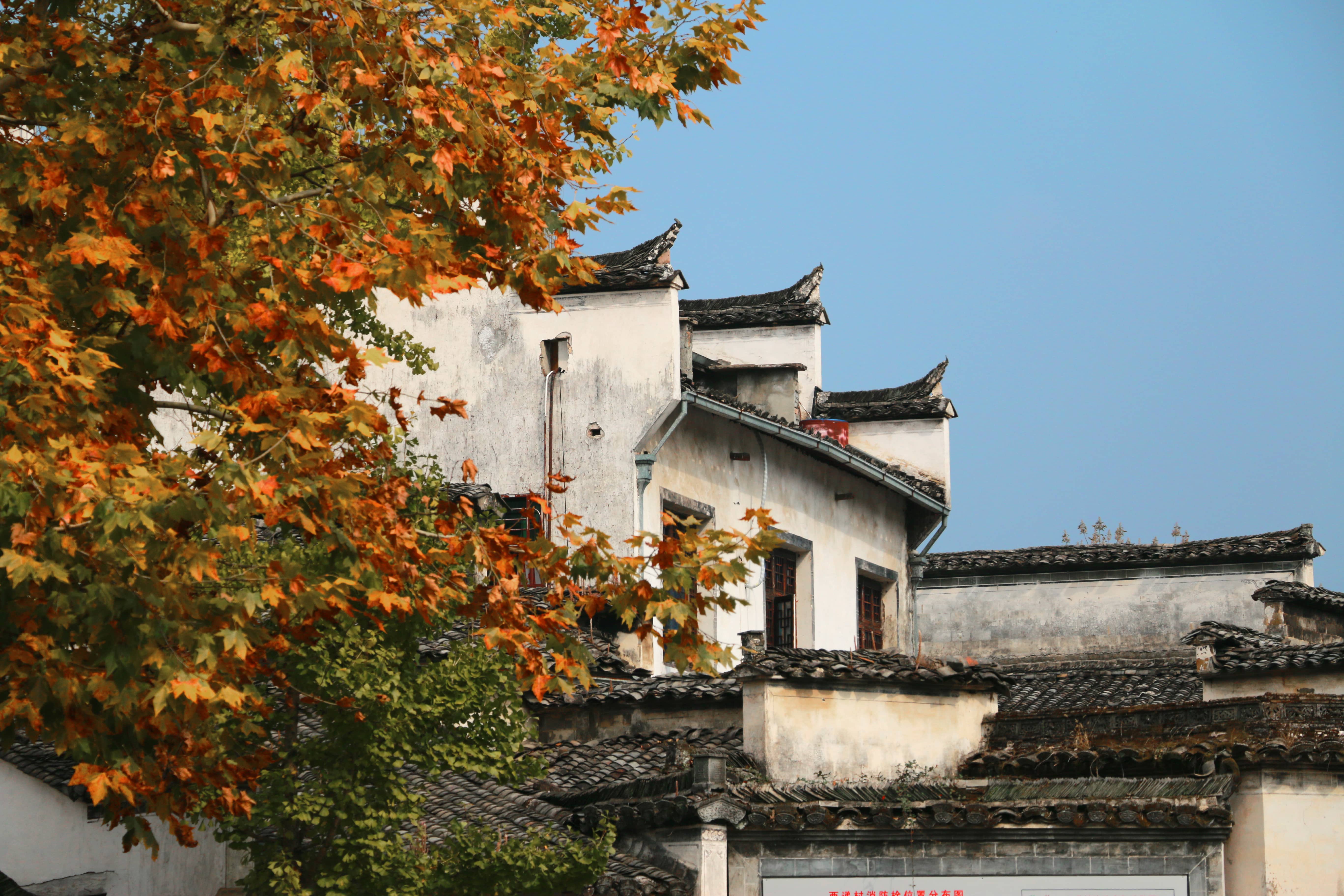 安徽印发入境旅游激励办法，激励资金总额不超过2000万元