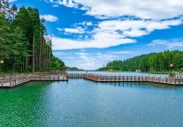 “财经女侠”叶檀点赞明月山温汤：这里的水像琉璃，空气像牛奶