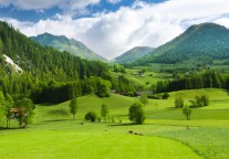 行业一致编制的低碳酒店标准发布在即！