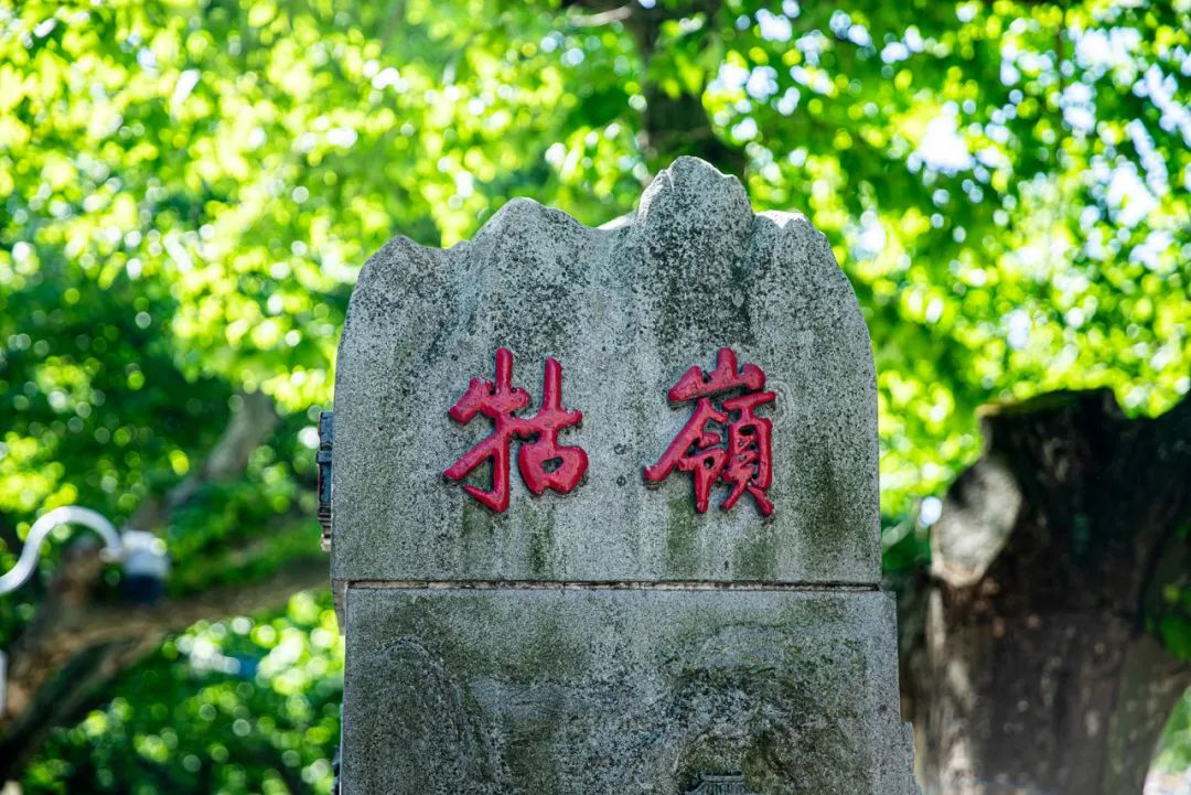 端午邂逅六一，庐山风景区精彩活动抢先看