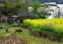 中办、国办最新定调：允许农户合法拥有的住房通过出租、入股、合作等方式盘活利用