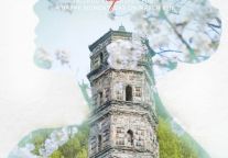 感受“她”魅力，致敬“她”力量！台州府城祝女神节日快乐！