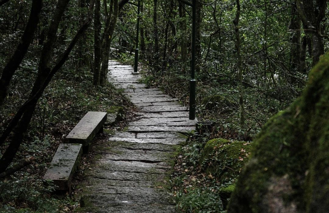 三清山景区“人间烟火·寻味三清”美食沙龙火热来袭！