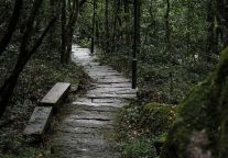 三清山景区“人间烟火·寻味三清”美食沙龙火热来袭！