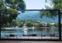 拿捏了，随地大小拍都是浪漫，“东湖画框”必须打卡