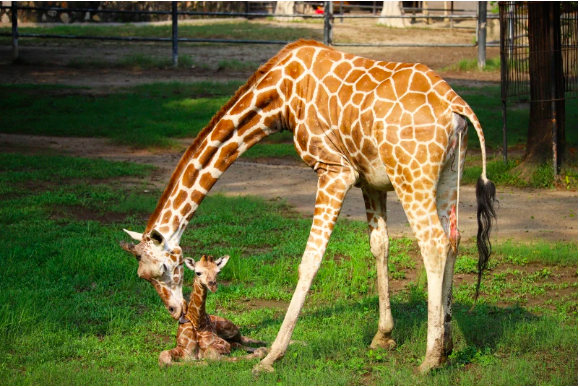 截屏2023-10-27 14.38.01.png