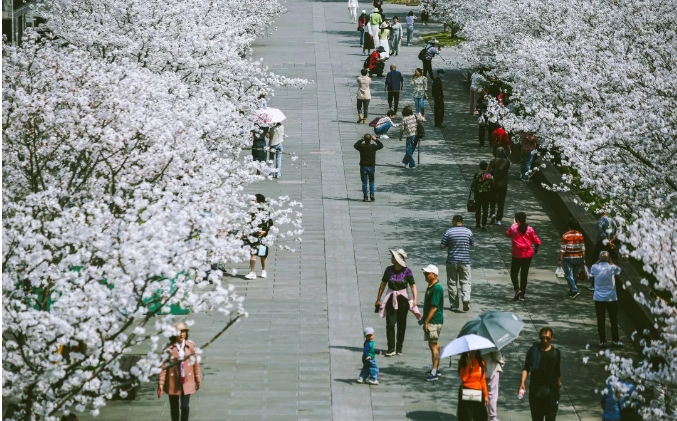微信截图_20240327174442.png