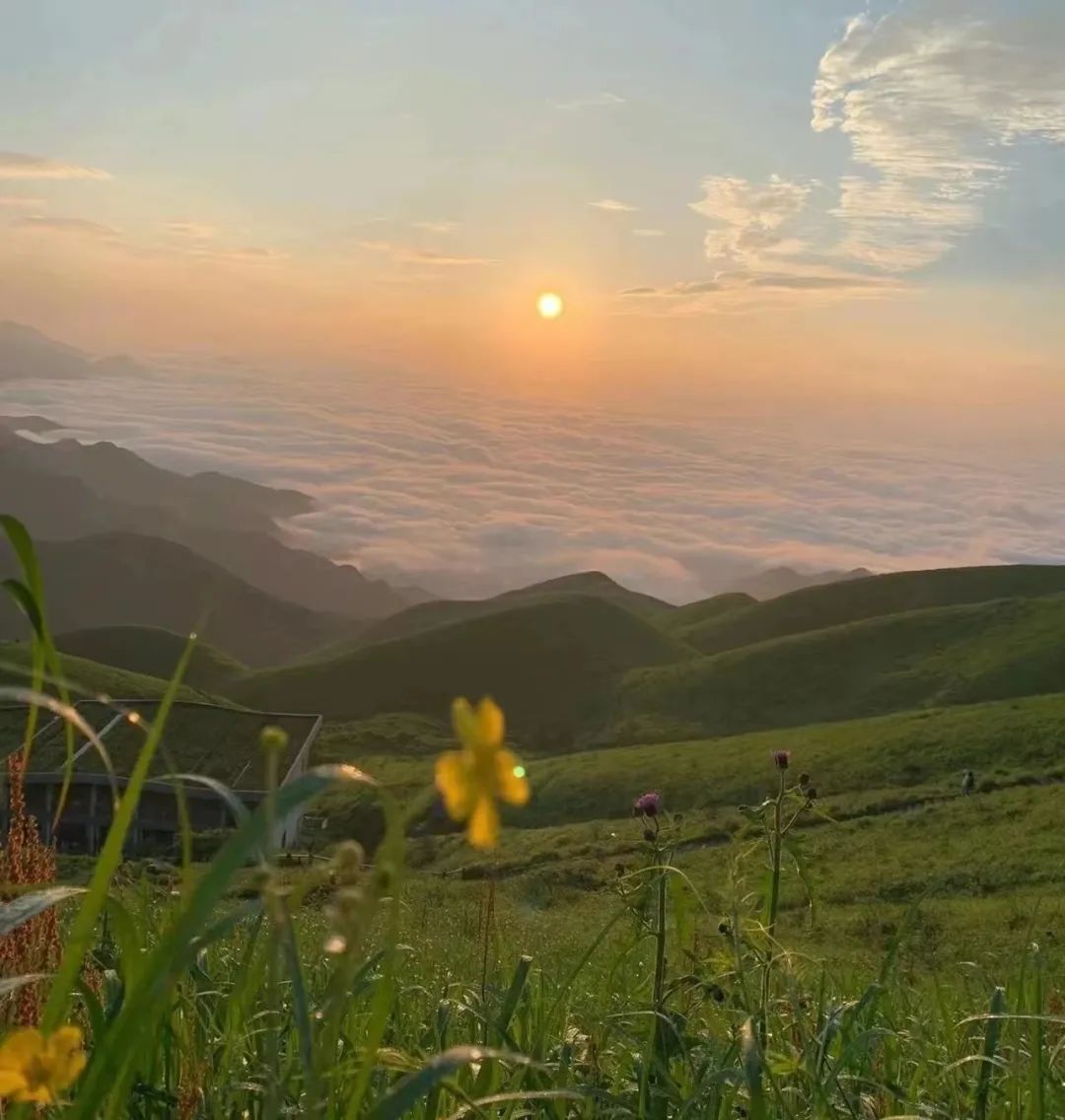 有一种困叫“春困”，和惊蛰一起唤醒武功山​！