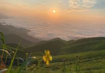 有一种困叫“春困”，和惊蛰一起唤醒武功山​！