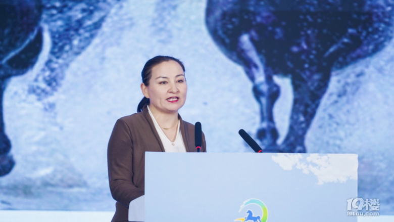 牧歌昭苏 天马故乡 | 昭苏县2023年冬季文化旅游推介会在杭州举行