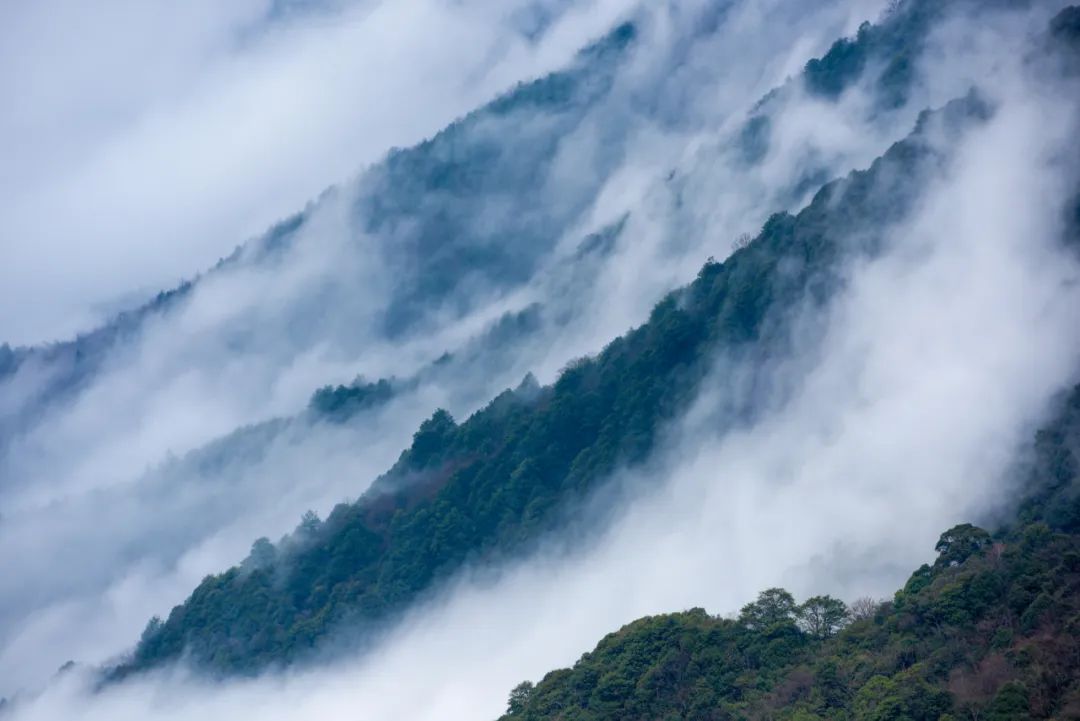别拦我，武功山春日云海根本看不够！！！