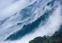 别拦我，武功山春日云海根本看不够！！！