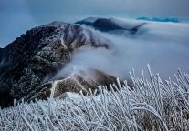 嘿！赏武功山雾凇吗？“仙境”的那种~