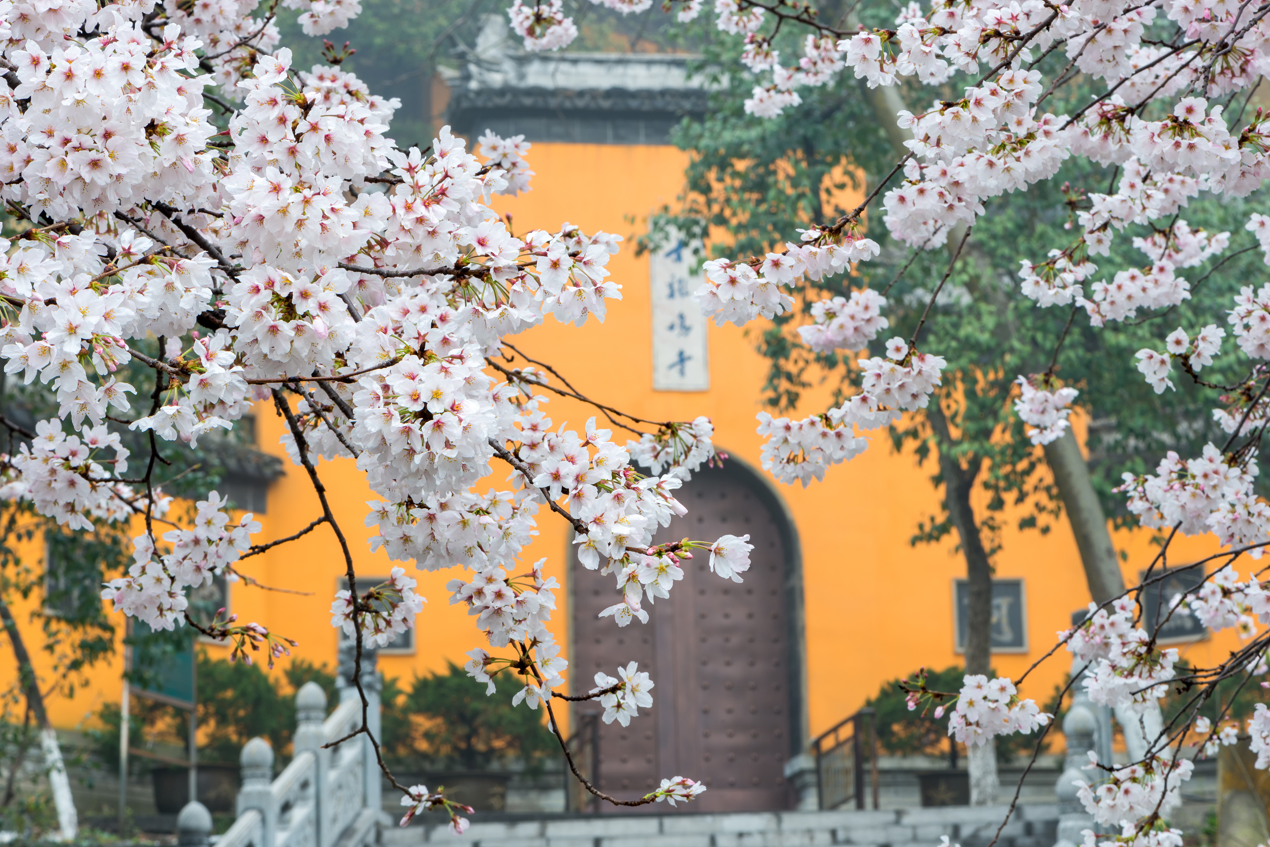 南京 鸡鸣寺.jpg