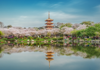 万悦会邀你畅游荆楚大地，尽享双倍积分