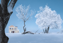 向精品转型，东北民宿如何打破“农家乐”模式？