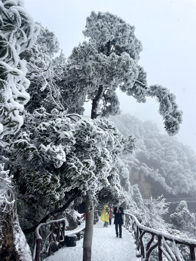 三清山下雪图片