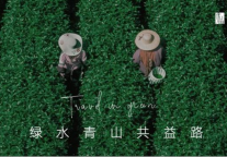 商业向善，这家酒店正在续写小城故事