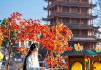 2025年全国新春旅游休闲活动（安徽分会场）暨安徽省 “百场黄梅唱响百家景区”启动仪式 邀您共赴新春盛宴！