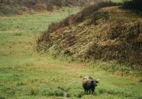 雅阁酒店集团|西津渡雅阁璞邸酒店，毕业季周年庆惊喜双倍