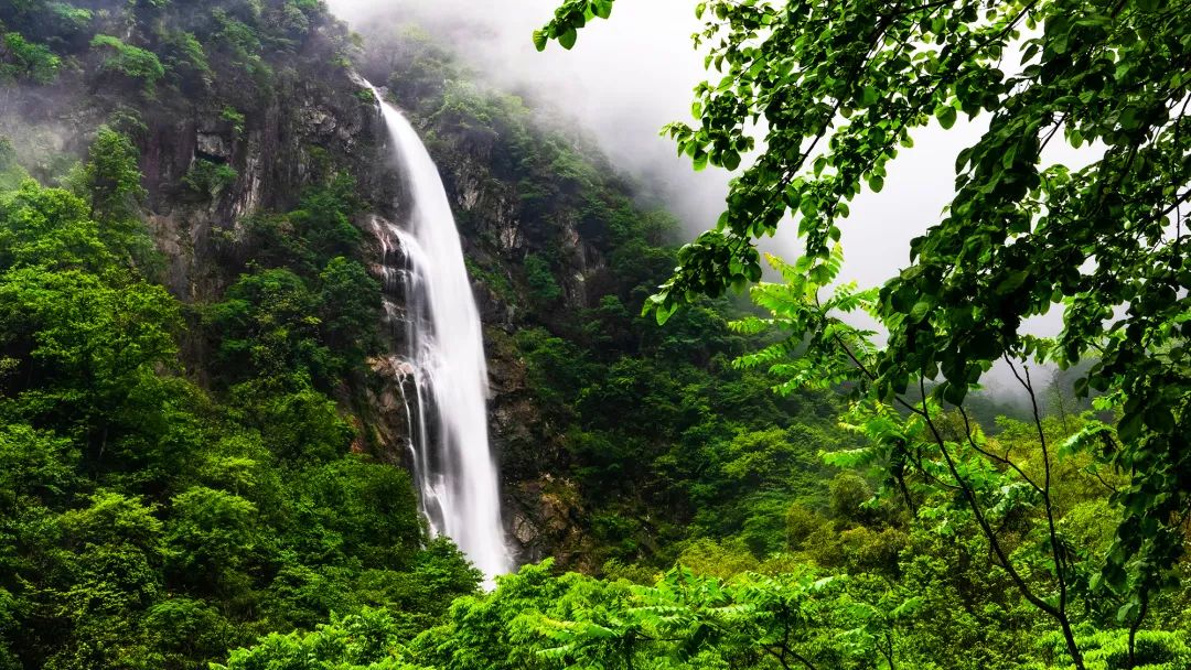 江西明月山风景图图片