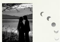 雅阁酒店集团|遇见星辰大海，尽在雅阁璞邸酒店