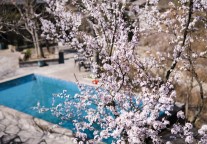 防港市文旅集团8亿元私募项目状态更新为“已受理”