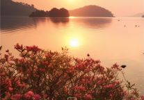 君澜2024年预计开业20家酒店，蕴光于行，与生活共美好