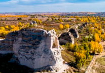 红色力量 先锋领航丨文旅优秀党员展风采