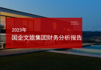 2023年国企文旅集团财务分析报告