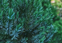 江南瑶坞风景度假旅游区亮相