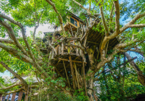 民宿，正迎来“iPhone时刻”