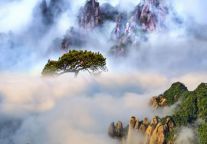 江西三清山景区：擦亮生态牌 八方客自来