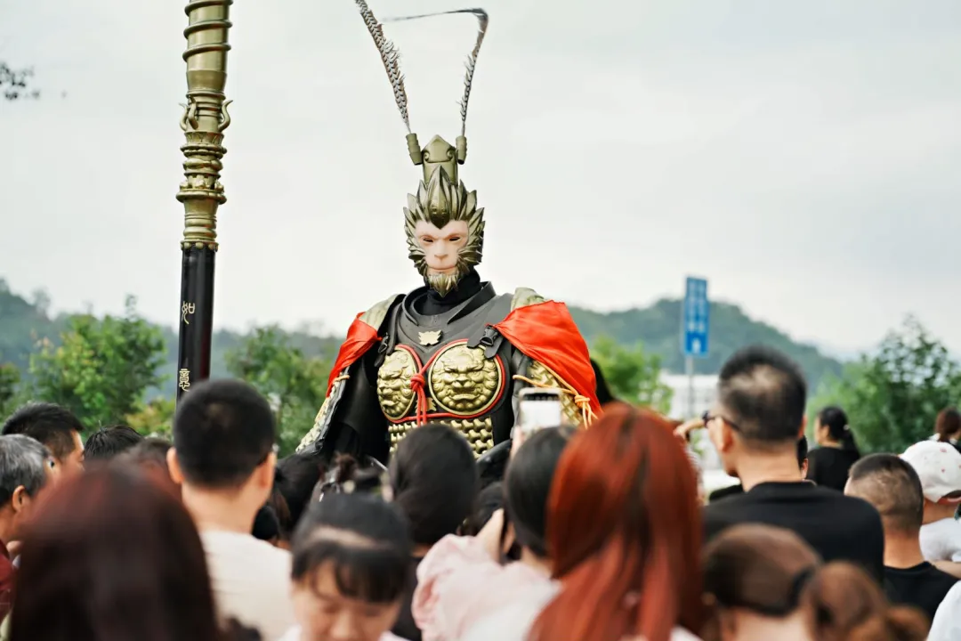 图片 14.png