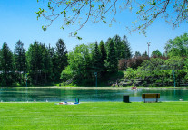 广东发布推动文化产业高质量发展“政策包” ，拓展“演艺+”产业链条