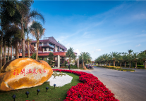 雅阁酒店集团|魅力三亚，三亚亚龙湾雅阁温泉度假酒店