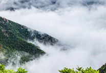 庐山风景区：22.6℃的夏日清凉 书写“天下悠”的避暑传奇