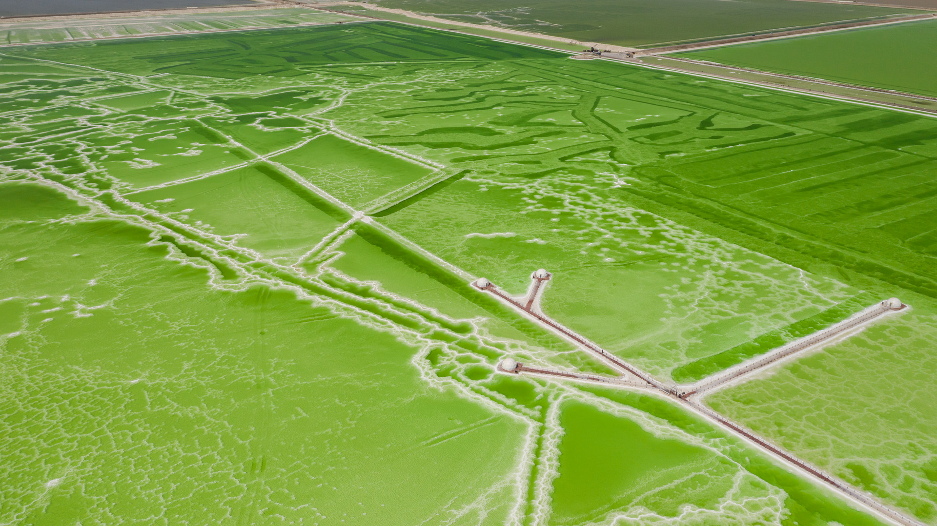 察尔汗盐湖景区游客接待量较去年同期增长2倍