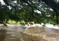 衡阳南岳区遭山洪袭击，有民宿被冲毁