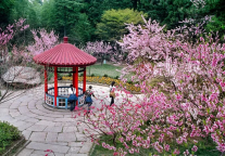 最美人间四月天！一起“趣”庐山风景区追寻春天