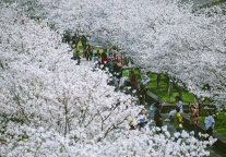 左手文艺味，右手国际范，看临海台州府城如何抢占文旅发展新赛道?
