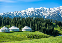 野象谷景区亚洲象博物馆正式开馆迎客