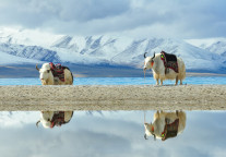 青海茶卡盐湖连续四年荣登携程“中国100必打卡景点榜”