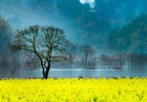 宜春明月山“洱海”火了？这个宝藏地就在......