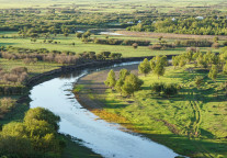  深圳：2035年建成国际一流滨海湿地城市