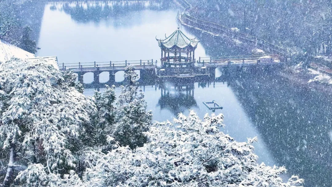 大年初五 迎财神 || 龟峰景区所有金条大奖已全部送出！