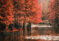 江苏拟确定9家旅游景区为国家4A级旅游景区