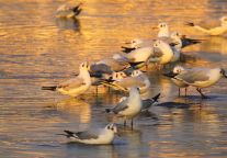 奥雅股份中标福州罗源环松山湖体育设施项目