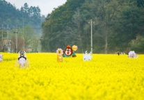 临海台州府城、熊出没、江南溪望谷，“三景联动”门票优惠来了……