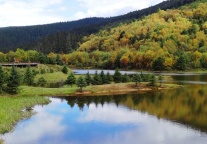 浙江杭州钱塘大湾区湿地公园将在近期开放